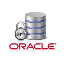 Plugin Bases de Datos Oracle Bacula Enterprise – Guía Rápida