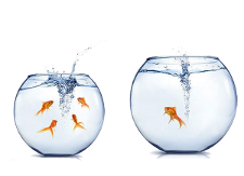 Dois Plugins Grátis do Bacula Enterprise até 31 de Julho de 2016!