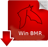 Plugin Recuperação Bare Metal Plugin Windows Bacula Enterprise – Guia Rápido