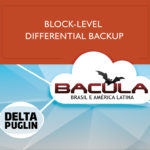 Bacula Enterprise Delta Plugin