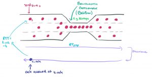Protocolo Bacula y BBR para Backups de Internet, Pérdidas de Paquetes, Desconexiones, etc.